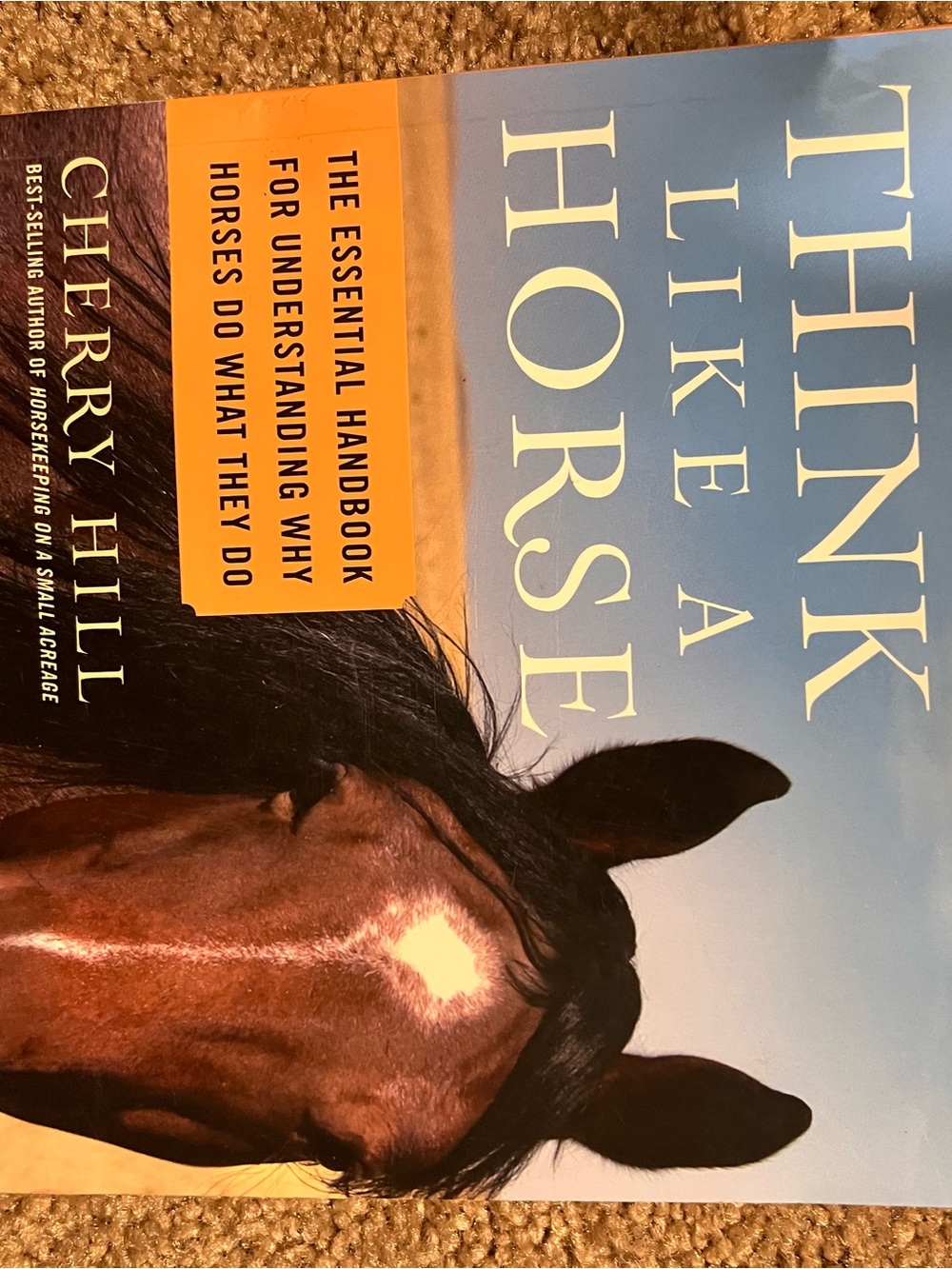 Think Like a Horse by - Blue and Brown Cover